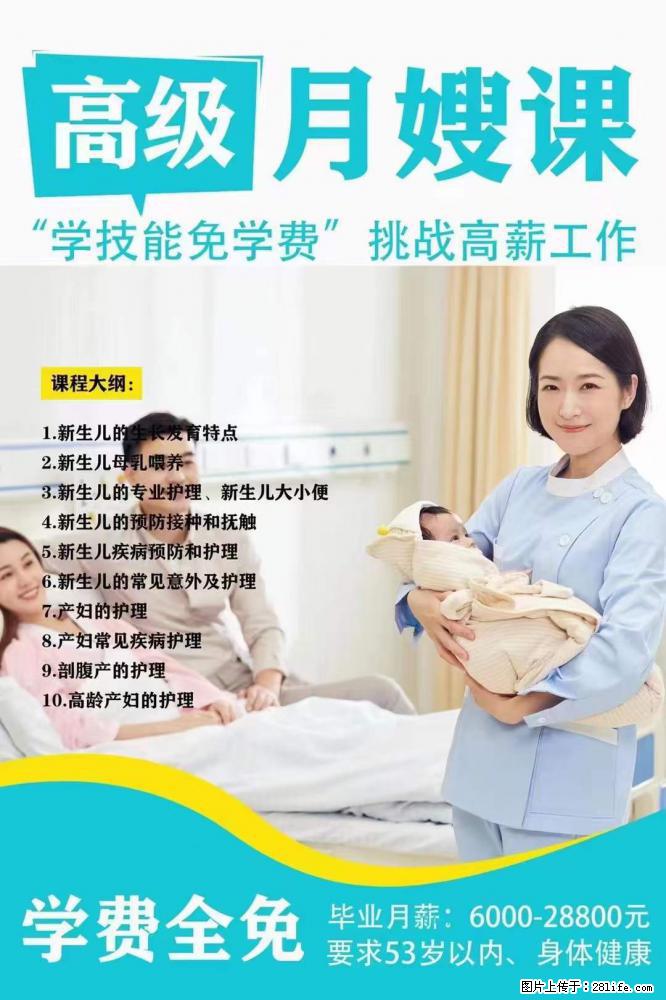 为什么要学习月嫂，育婴师？ - 其他广告 - 广告专区 - 聊城分类信息 - 聊城28生活网 lc.28life.net