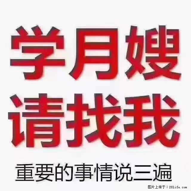 为什么要学习月嫂，育婴师？ - 新手上路 - 聊城生活社区 - 聊城28生活网 lc.28life.net