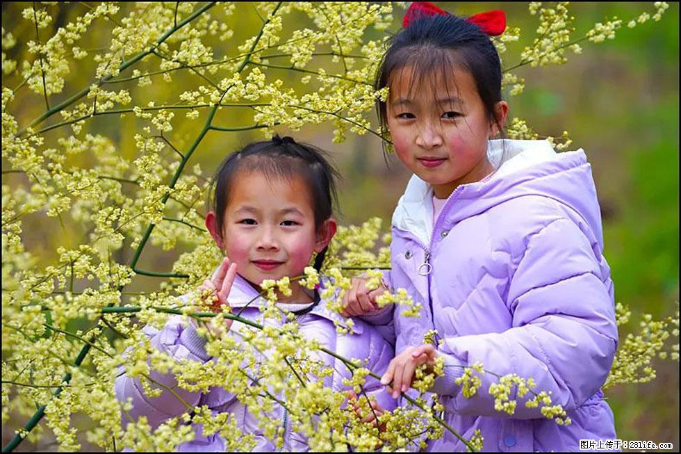 【春天，广西桂林灌阳县向您发出邀请！】米珠山前有片山苍子花在飘香 - 游山玩水 - 聊城生活社区 - 聊城28生活网 lc.28life.net