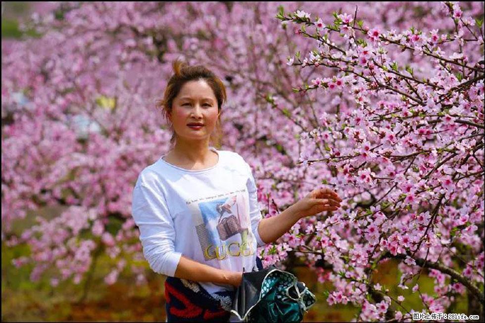 【春天，广西桂林灌阳县向您发出邀请！】官庄村有个醉美的桃花园 - 游山玩水 - 聊城生活社区 - 聊城28生活网 lc.28life.net