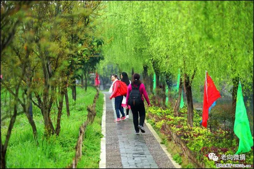 【春天，广西桂林灌阳县向您发出邀请！】江口老街又逢春 - 游山玩水 - 聊城生活社区 - 聊城28生活网 lc.28life.net