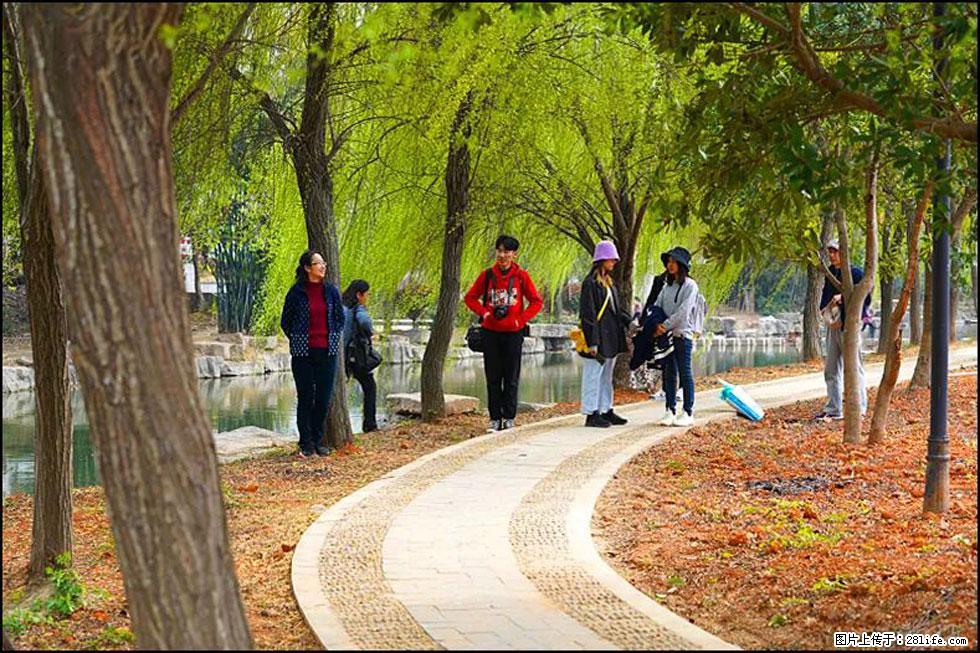 【春天，广西桂林灌阳县向您发出邀请！】江口老街又逢春 - 游山玩水 - 聊城生活社区 - 聊城28生活网 lc.28life.net