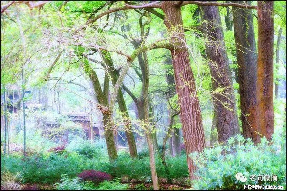 【春天，广西桂林灌阳县向您发出邀请！】在小龙村与春天约会 - 游山玩水 - 聊城生活社区 - 聊城28生活网 lc.28life.net