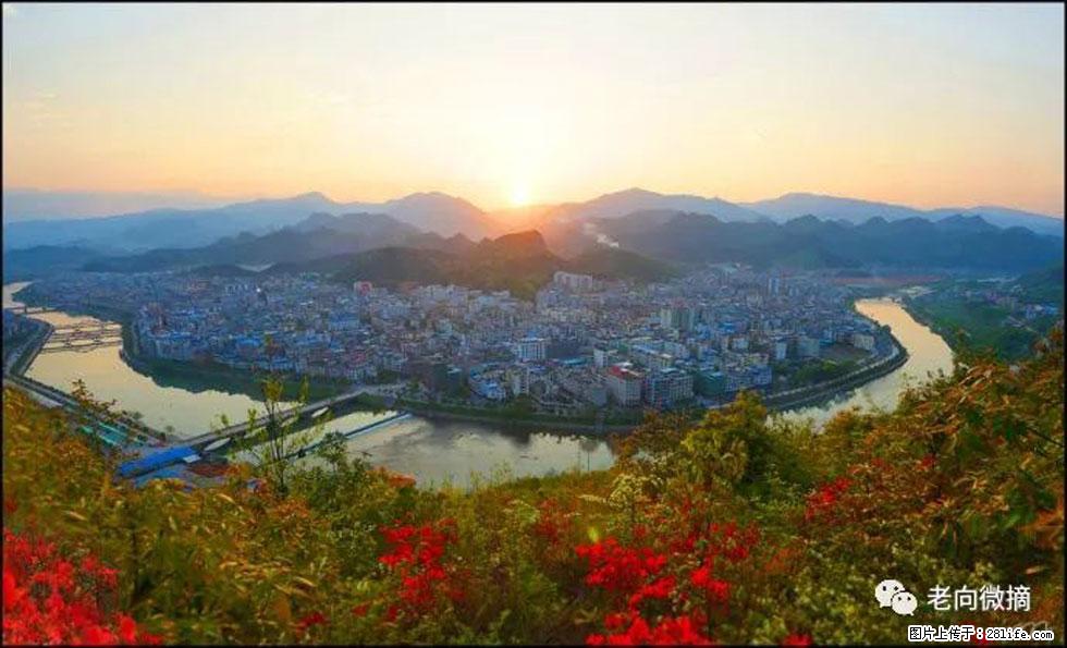 【春天，广西桂林灌阳县向您发出邀请！】登麒麟山，相约映山红 - 游山玩水 - 聊城生活社区 - 聊城28生活网 lc.28life.net