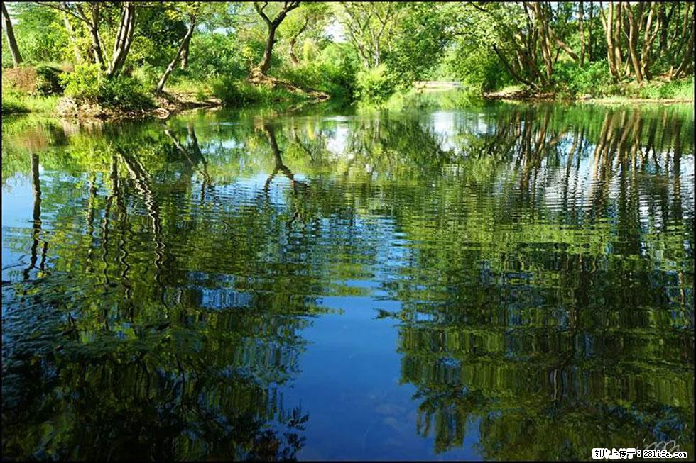 【春天，广西桂林灌阳县向您发出邀请！】熊家寨湿地公园 - 游山玩水 - 聊城生活社区 - 聊城28生活网 lc.28life.net