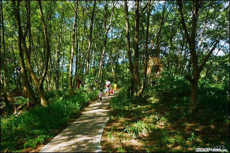 【春天，广西桂林灌阳县向您发出邀请！】熊家寨湿地公园 - 游山玩水 - 聊城生活社区 - 聊城28生活网 lc.28life.net