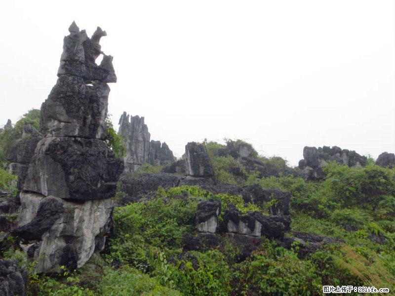 桂林旅游名城景点：灌阳文市石林 - 游山玩水 - 聊城生活社区 - 聊城28生活网 lc.28life.net