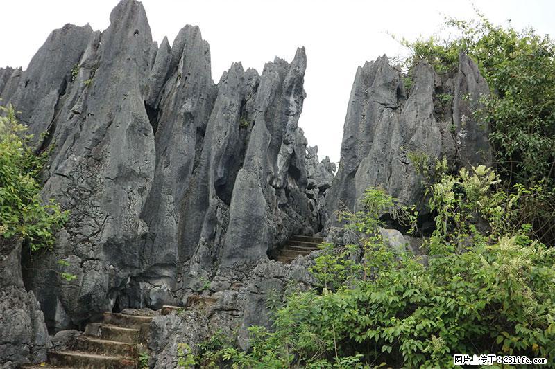 桂林旅游名城景点：灌阳文市石林 - 游山玩水 - 聊城生活社区 - 聊城28生活网 lc.28life.net