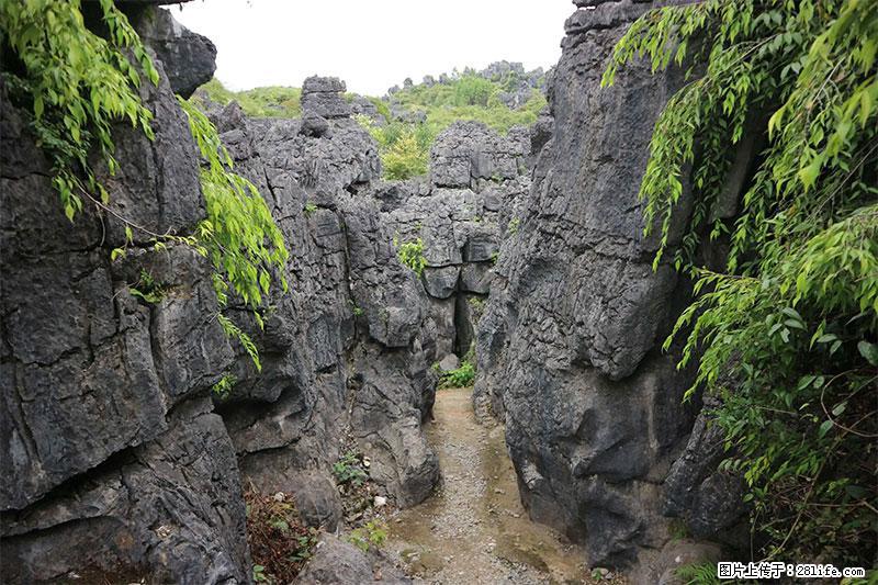 桂林旅游名城景点：灌阳文市石林 - 游山玩水 - 聊城生活社区 - 聊城28生活网 lc.28life.net