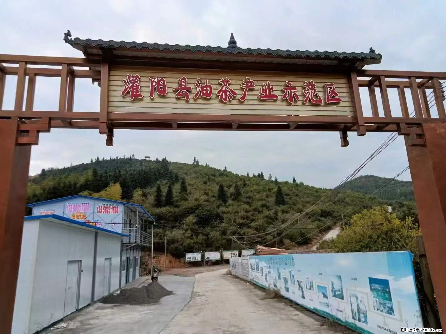 【灌阳县油茶产业示范区】一个有着充实的精神生活的人，对待身外之物自会有一种淡泊的态度 - 美食天地 - 聊城生活社区 - 聊城28生活网 lc.28life.net