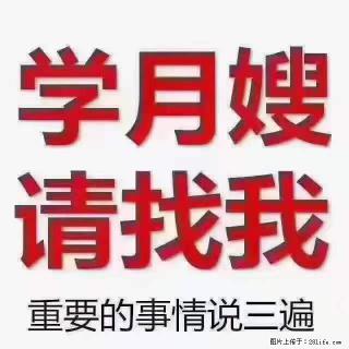 为什么要学习月嫂，育婴师？ - 聊城28生活网 lc.28life.net