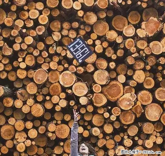 辞掉工作周游世界？现在他们在洗厕所…… - 游山玩水 - 聊城生活社区 - 聊城28生活网 lc.28life.net