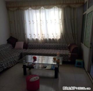 五星百货北，兴华路小学附近，家具家电齐全，拎包入住 - 聊城28生活网 lc.28life.net