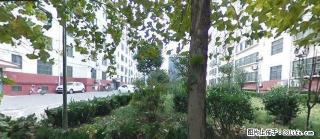 三中对过市政府家属院 有暖气 家具家电齐全 - 聊城28生活网 lc.28life.net