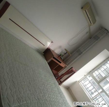 建设东路 阿尔卡迪亚 简单装修 家具家电齐全 拎包入住 - 房屋出租 - 房屋租售 - 聊城分类信息 - 聊城28生活网 lc.28life.net