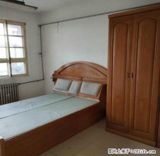 金鼎 育新街 新区小学 3居 家具齐全 领包入住 先到先到！ - 聊城28生活网 lc.28life.net
