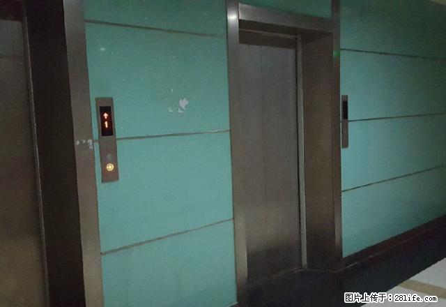 新东方国际 1室1厅1卫 - 房屋出租 - 房屋租售 - 聊城分类信息 - 聊城28生活网 lc.28life.net
