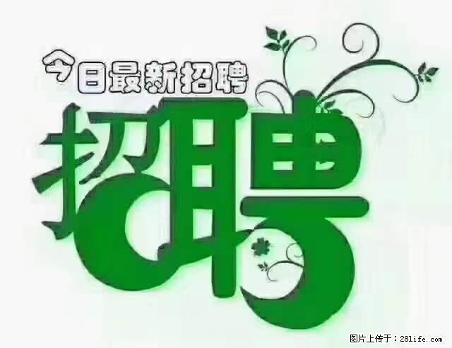 【招聘摄像师】待遇：试用期6000元/月，转正7000元/月+五险一金+餐补+节日福利+奖金 - 其他招聘信息 - 招聘求职 - 聊城分类信息 - 聊城28生活网 lc.28life.net
