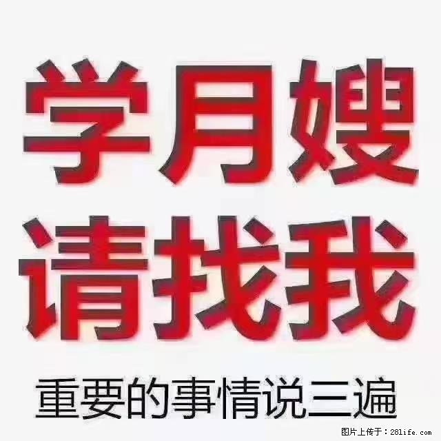 【招聘】月嫂，上海徐汇区 - 职场交流 - 聊城生活社区 - 聊城28生活网 lc.28life.net