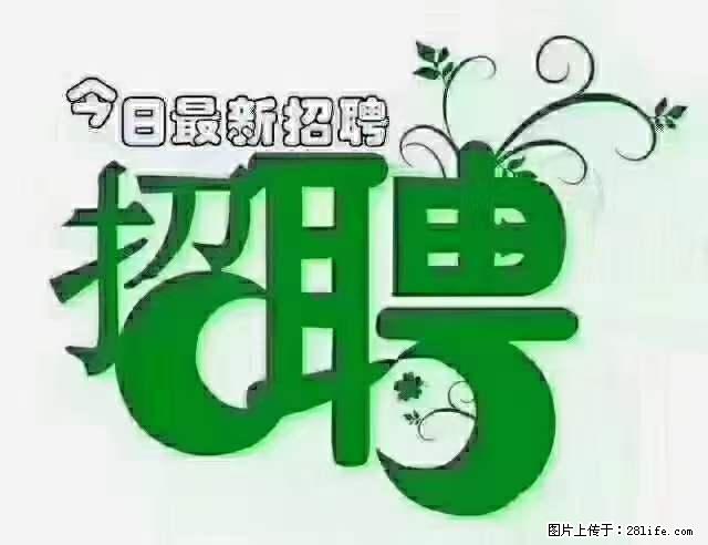 上海隔离酒店招人：55岁以下 男女不限 - 职场交流 - 聊城生活社区 - 聊城28生活网 lc.28life.net