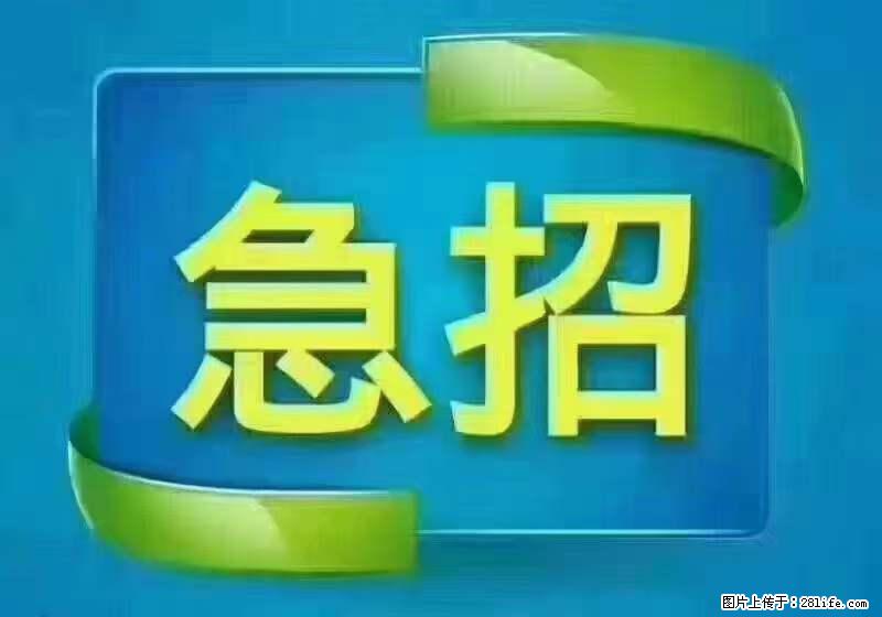 招出纳8000元/月，无证可以，要有相关经验，上海五险一金，包住，包工作餐，做六休一。 - 职场交流 - 聊城生活社区 - 聊城28生活网 lc.28life.net