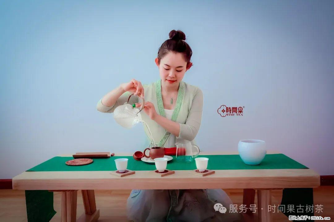 时间果百年古树龙珠普洱生茶 - 购物交流 - 聊城生活社区 - 聊城28生活网 lc.28life.net