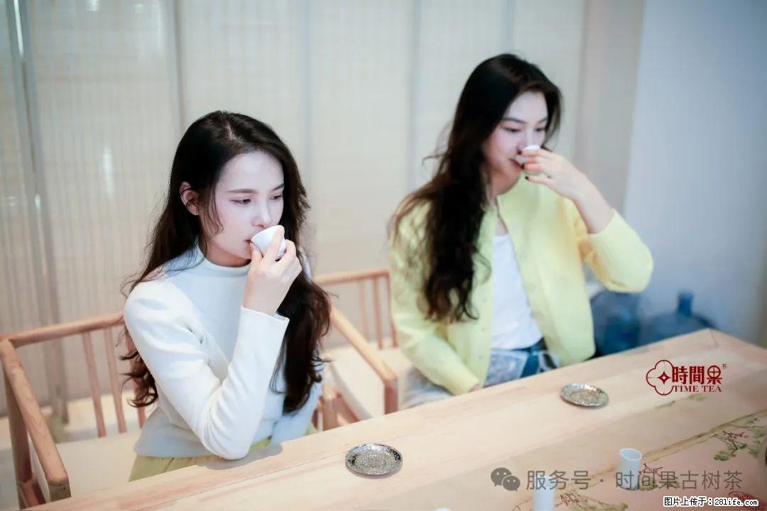 时间果百年古树龙珠普洱生茶 - 购物交流 - 聊城生活社区 - 聊城28生活网 lc.28life.net