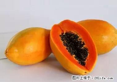 晕车、脚气、牙齿变黄、皮肤粗糙？学会这些三分钟搞定！ - 聊城生活资讯 - 聊城28生活网 lc.28life.net