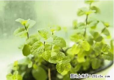 晕车、脚气、牙齿变黄、皮肤粗糙？学会这些三分钟搞定！ - 聊城生活资讯 - 聊城28生活网 lc.28life.net