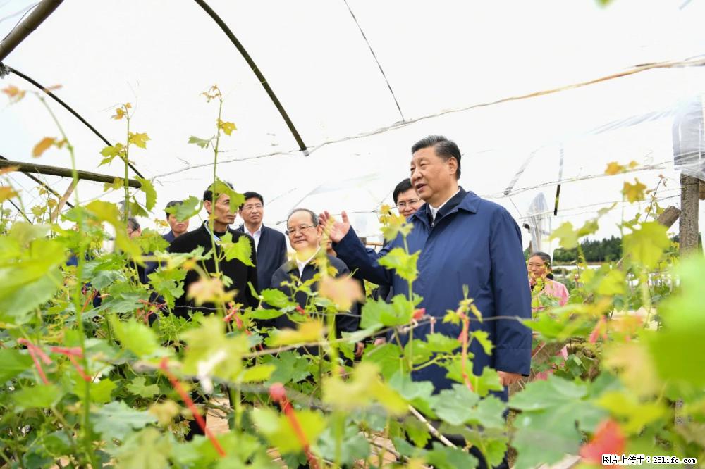 习近平赴广西考察调研 - 聊城生活资讯 - 聊城28生活网 lc.28life.net