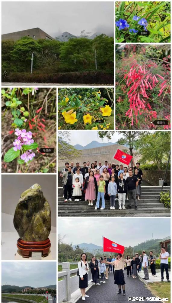 “粤灌文化 美好生活”油茶文化主题活动在广东深圳成功举办 - 聊城生活资讯 - 聊城28生活网 lc.28life.net
