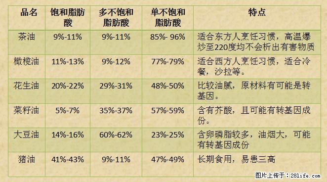 揭秘茶油的5大核心营养成分！被称为人体健康的“守护盾”！ - 聊城生活资讯 - 聊城28生活网 lc.28life.net
