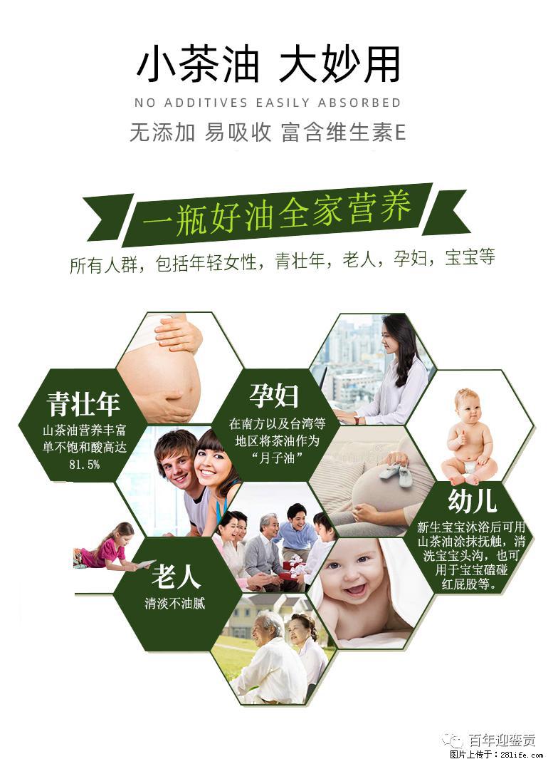 世界没有真相，只有认知，最好的食用油是中国的山茶油！ - 聊城生活资讯 - 聊城28生活网 lc.28life.net