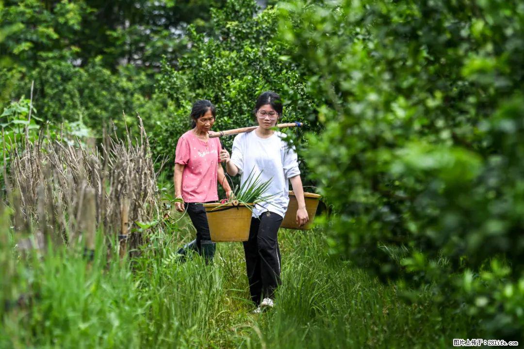 全网追的“扁担女孩”，找了一份暑假工，时薪12元 - 聊城生活资讯 - 聊城28生活网 lc.28life.net