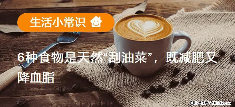 【生活小常识】6种食物是天然“刮油菜”，既减肥又降血脂 - 聊城生活资讯 - 聊城28生活网 lc.28life.net