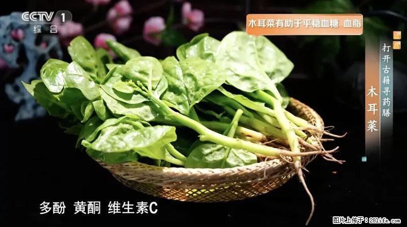 比牛奶补钙还厉害！凉血解毒、稳血糖...这菜冬天必吃，很多人却当草 - 聊城生活资讯 - 聊城28生活网 lc.28life.net