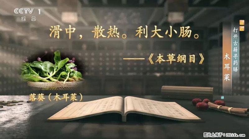 比牛奶补钙还厉害！凉血解毒、稳血糖...这菜冬天必吃，很多人却当草 - 聊城生活资讯 - 聊城28生活网 lc.28life.net