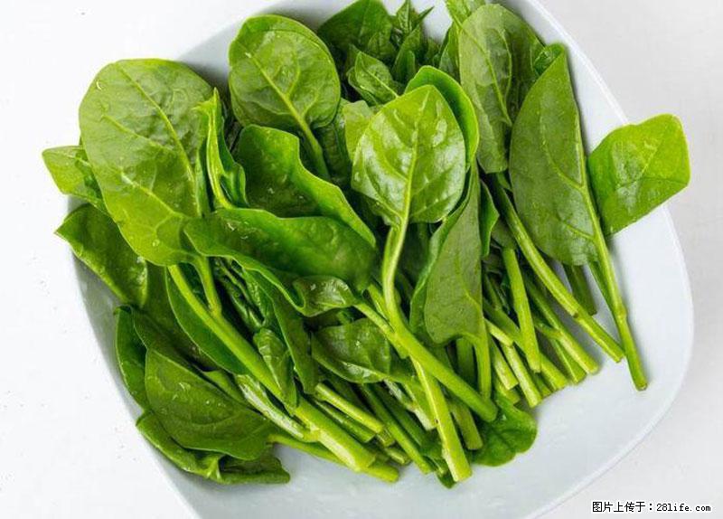 这些蔬菜是“天然钙片”，这6种被医生重点推荐 - 聊城生活资讯 - 聊城28生活网 lc.28life.net