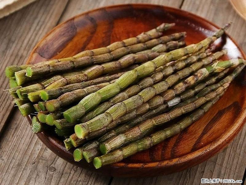 铁皮石斛的作用与功能主治 - 聊城生活资讯 - 聊城28生活网 lc.28life.net