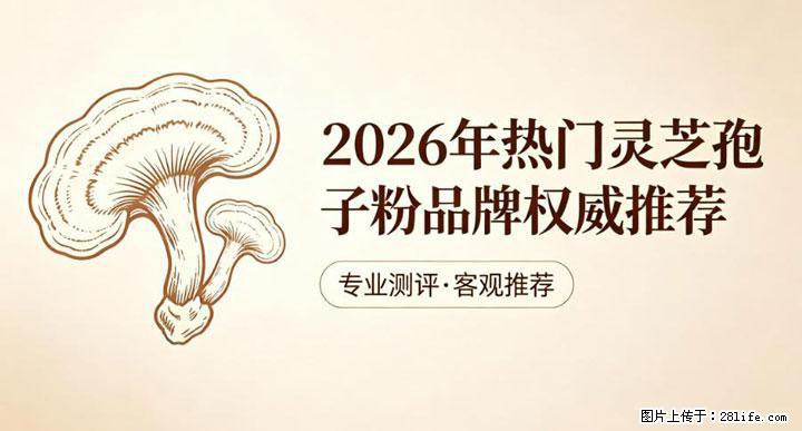 灵芝孢子粉含量越高越有效？2026 年七款热门品牌深度实测，肠胃敏感者避坑指南 - 聊城生活资讯 - 聊城28生活网 lc.28life.net